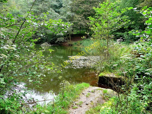 Photo 6"x4" Soudley Middle Pond 4 Grange Village c2009