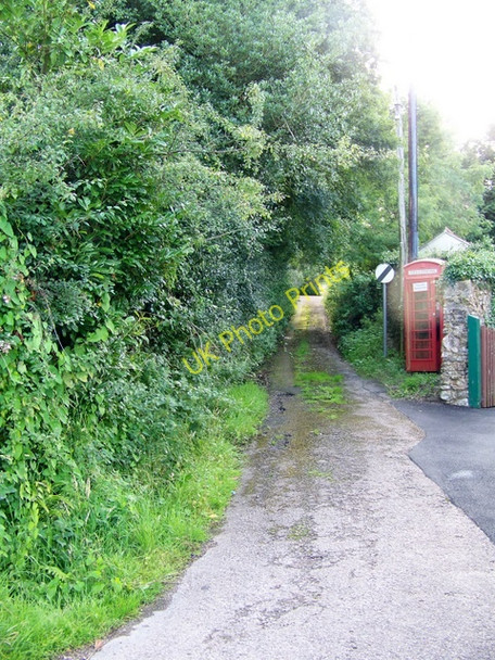 Photo 6"x4" Telephone box, Marsh Marsh\/ST2510 c2009