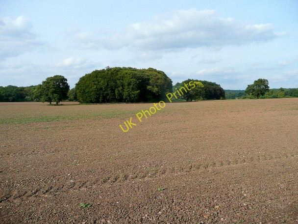 Photo 6"x4" Nottinghamshire farmland 1 Norton\/SK5772 c2009