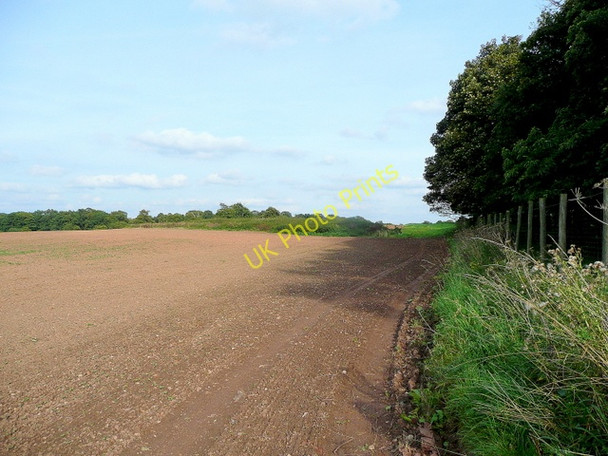Photo 6"x4" Nottinghamshire farmland 2 Norton\/SK5772 c2009
