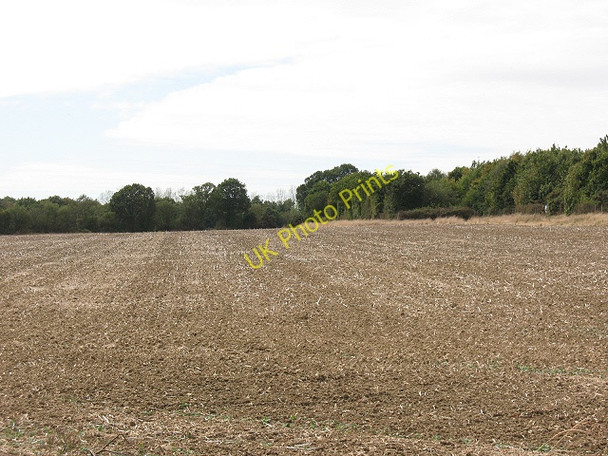Photo 6"x4" Stubble in a field near Dunkirk Dunkirk\/TR0759 c2009