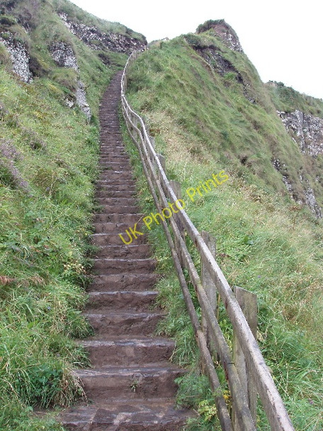 Photo 6"x4" The Shepherd's Steps, Giant's Causeway Dunseverick c2009
