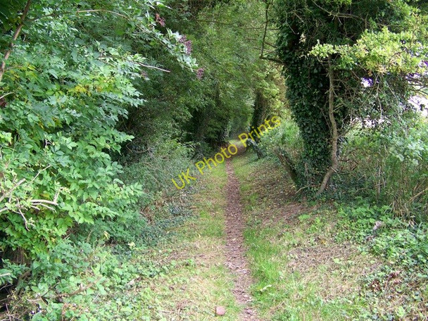 Photo 6"x4" Footpath, Knook Heytesbury c2009