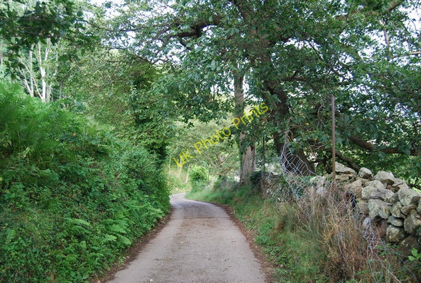 Photo 6"x4" Track approaching Conwy Conwy c2009