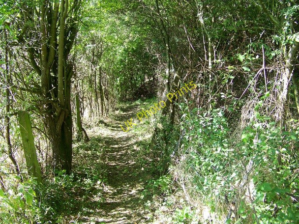 Photo 6"x4" Footpath near Corton Knook c2009