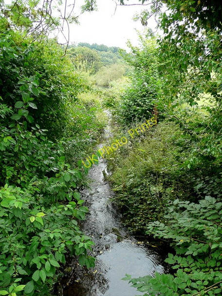 Photo 6"x4" Brook at Harts Barn Brimps Hill c2009