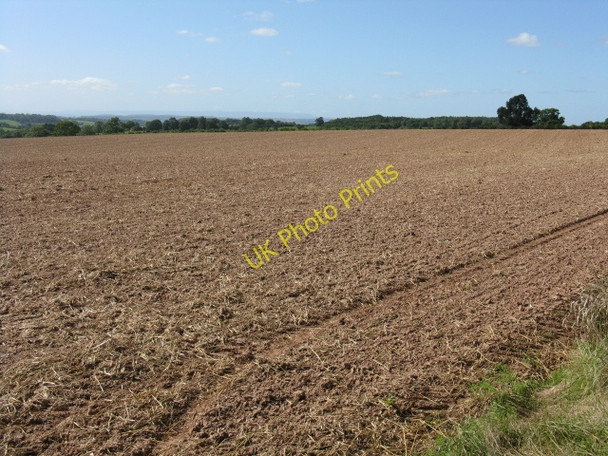 Photo 6"x4" Stubble Field Near Bockleton Grove Bockleton c2009