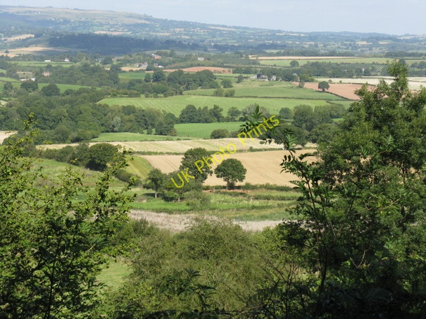 Photo 6"x4" Haws Hill Vista Oldwood\/SO5966 c2009