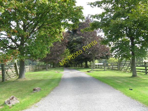 Photo 6"x4" Entrance To Cinders Wood St Michaels\/SO5865 c2009