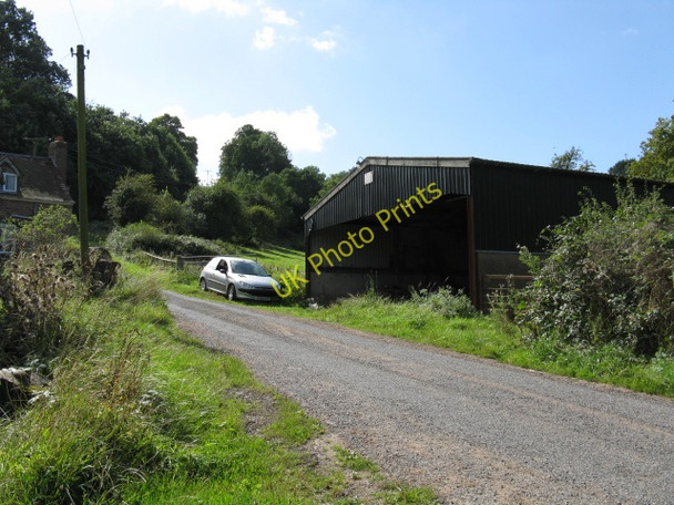 Photo 6"x4" Lower Barn Leysters c2009