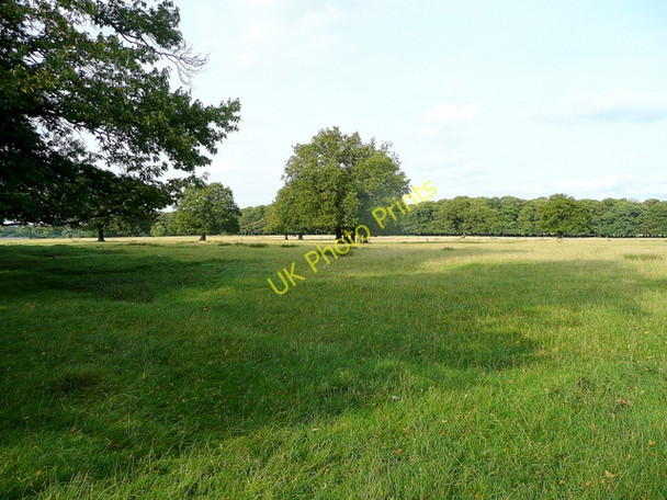 Photo 6"x4" View through the deer fence Norton\/SK5772 c2009