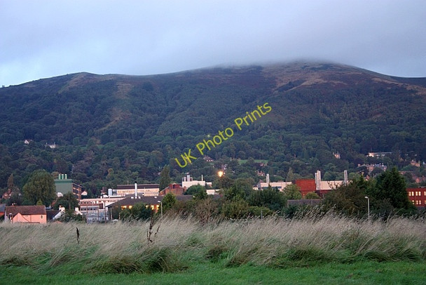 Photo 6"x4" On Malvern Common just after dawn Great Malvern c2009