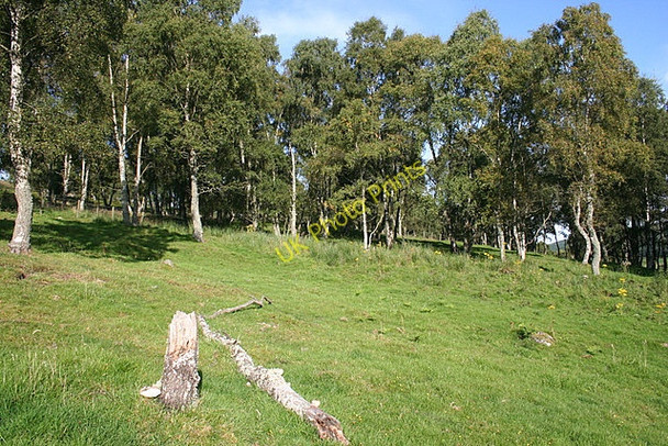 Photo 6"x4" On the Slopes of Mortlich Coull\/NJ5102 c2009
