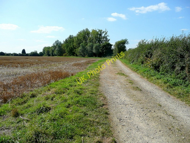 Photo 6"x4" Bridleway from Beckford Beckford\/SO9735 c2009
