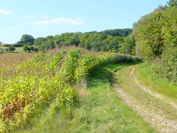 Photo 6"x4" Farm track north Grafton\/SO9837 c2009