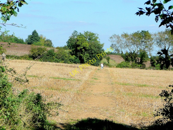 Photo 6"x4" Footpath to Ashton Grafton\/SO9837 c2009