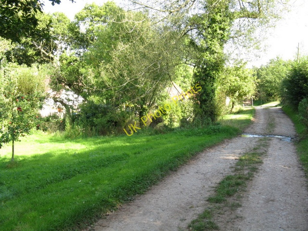 Photo 6"x4" Bridleway At Lower Sapey Lower Sapey c2009