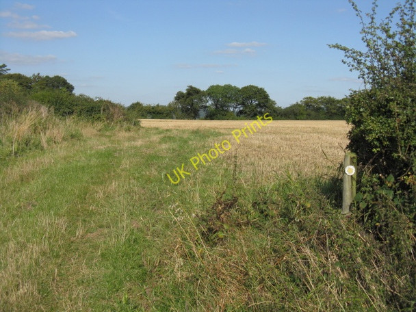 Photo 6"x4" Footpath Near Clifton Upon Teme Clifton Upton Teme c2009