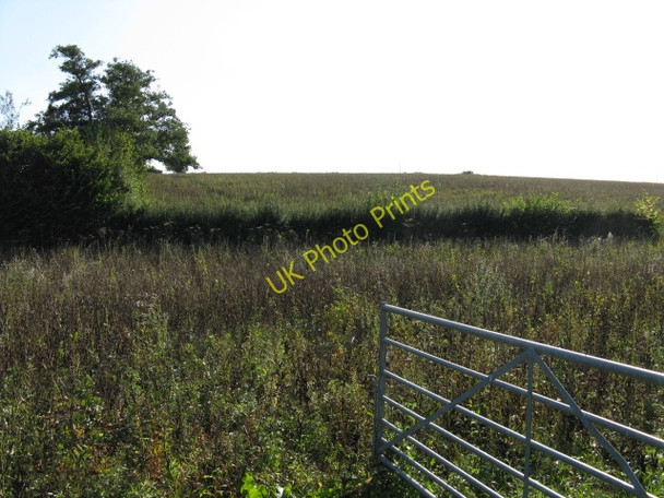 Photo 6"x4" Hillside Near Lea Green Upper Sapey c2009