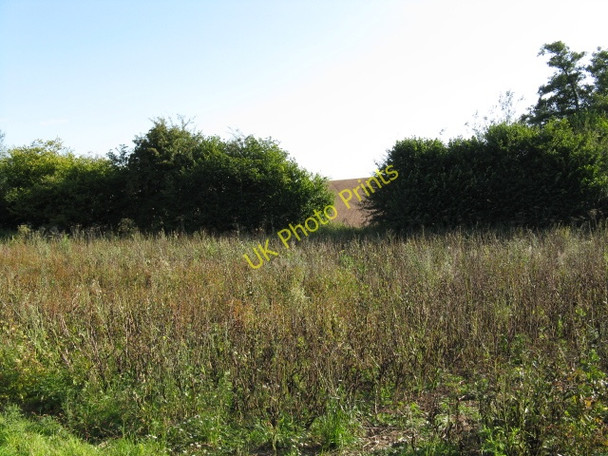 Photo 6"x4" Waste Ground Near Lea Green Upper Sapey c2009