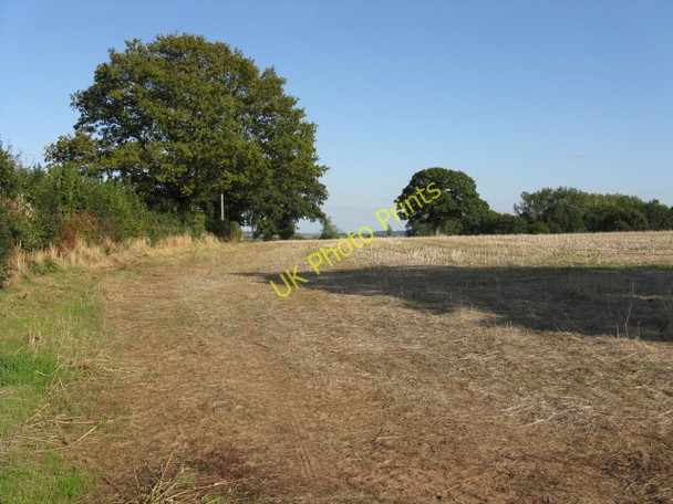 Photo 6"x4" Footpath Across A Stubble Field, High Lane Harpley\/SO6861 c2009
