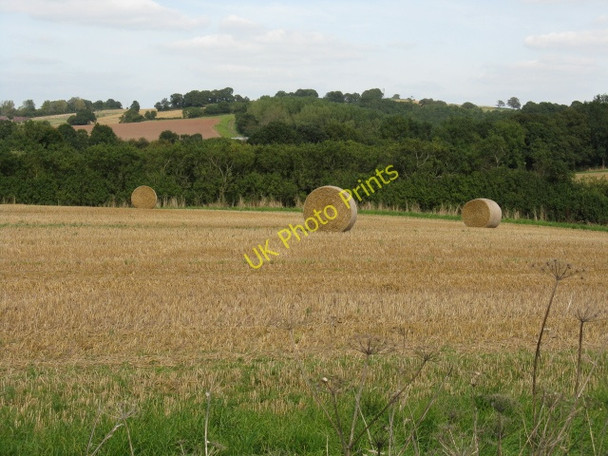 Photo 6"x4" Harvested Field At The Green Elms Green\/SO7266 c2009