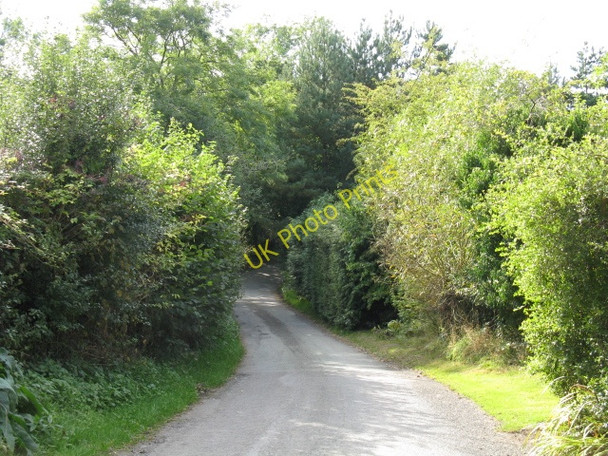 Photo 6"x4" Lane To Abberley At Brookside Cottage Yarhampton c2009