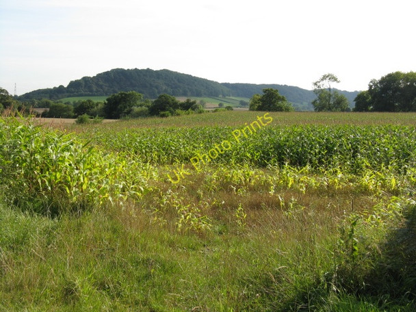 Photo 6"x4" Fields Near New House Dunley\/SO7869 c2009
