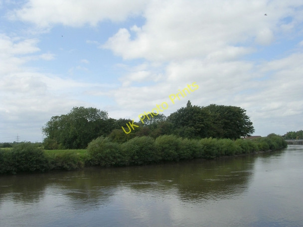 Photo 6"x4" Dog Island - River Trent Gainsborough\/SK8189 c2009