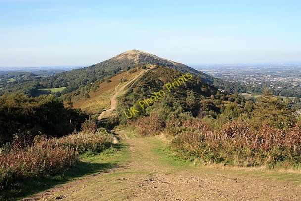 Photo 6"x4" Perseverance Hill Brand Green\/SO7641 c2009