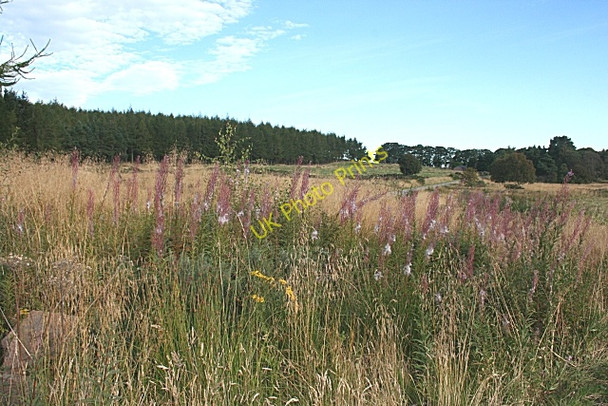 Photo 6"x4" Near Glencomie Perkhill c2009