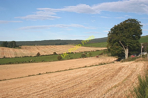 Photo 6"x4" Near Knowehead Perkhill c2009