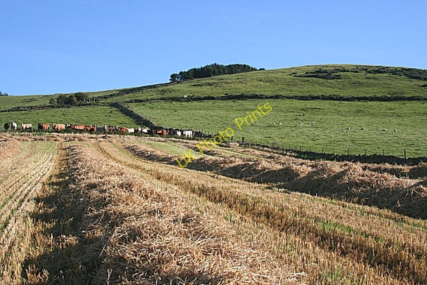 Photo 6"x4" Blelack Hill Perkhill c2009