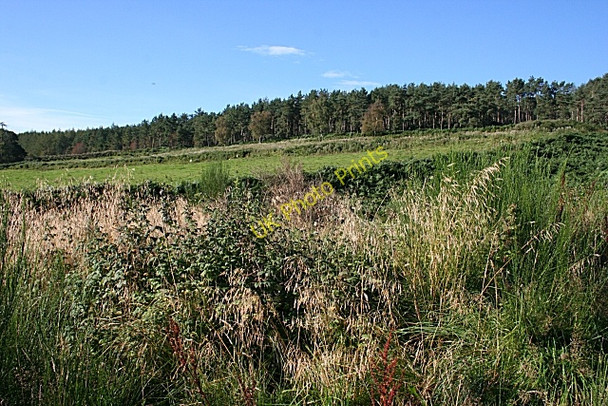 Photo 6"x4" Near Loanend Coull\/NJ5102 c2009