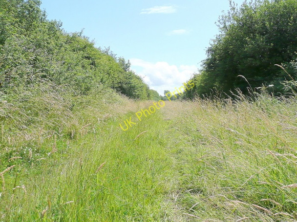 Photo 6"x4" Bridleway from Northwick Warth New Passage c2009