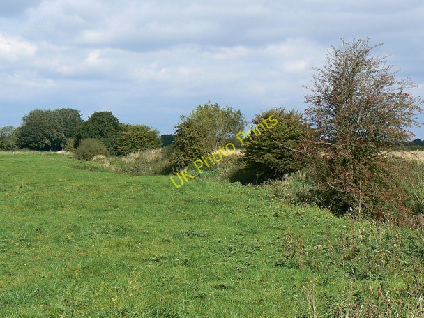 Photo 6"x4" The west bank of the River Ray near the Swindon and Cricklade Railway, Blunsdon Hayes Knoll c2009