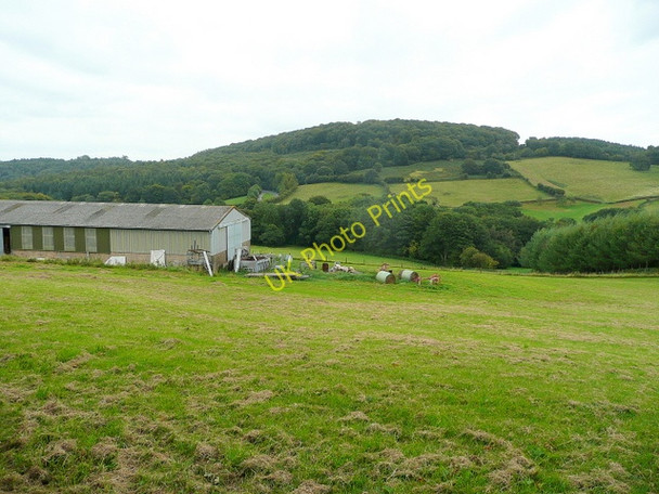 Photo 6"x4" View to the Buck Stone Hill Kymin\/SO5212 c2009