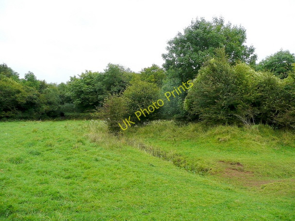 Photo 6"x4" Pasture by the forest edge Staunton\/SO5512 c2009