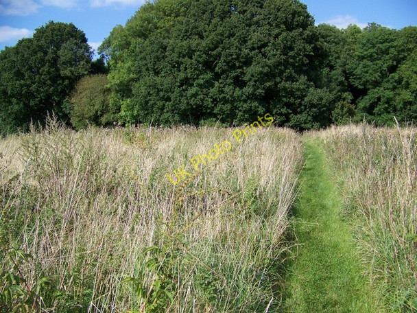 Photo 6"x4" Footpath, Wilton Brail Crofton\/SU2662 c2009