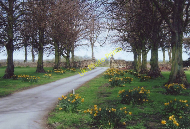 Photo 6"x4" Entrance road to Teversal Manor Gardens, Notts. Teversal c2006