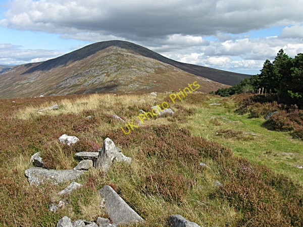 Photo 6"x4" Carrigalachan Summit Rathnure c2009