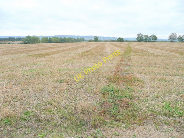 Photo 6"x4" Footpath to Wormington Wormington c2009