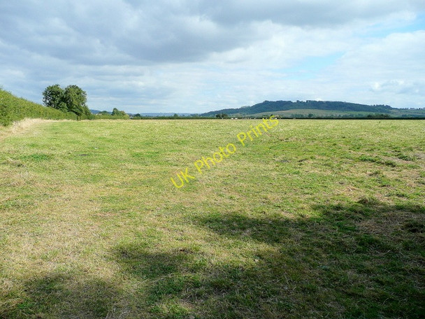 Photo 6"x4" Pasture at Pamington Claydon\/SO9331 c2009