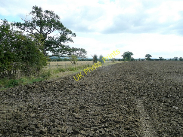 Photo 6"x4" Oxenton arable land 2 Claydon\/SO9331 c2009