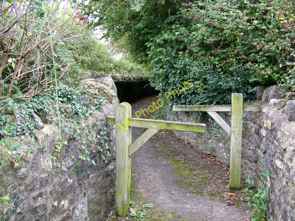 Photo 6"x4" Footpath, Ditcheat Ditcheat c2009