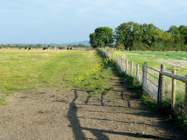 Photo 6"x4" Pasture land north of Bozard's Lane Claydon\/SO9331 c2009