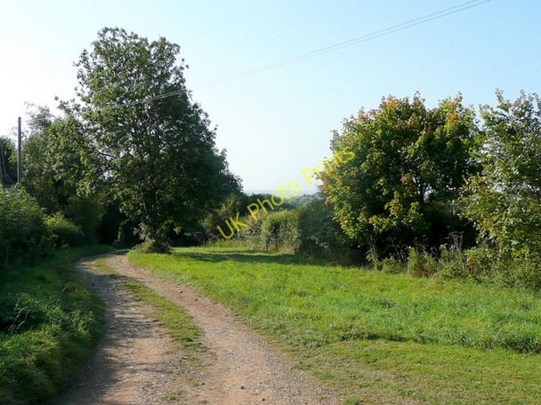 Photo 6"x4" Track past Lower Apperley Farm Apperley\/SO8628 c2009