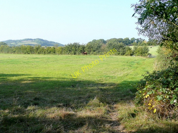 Photo 6"x4" Pasture at Lower Apperley Apperley\/SO8628 c2009