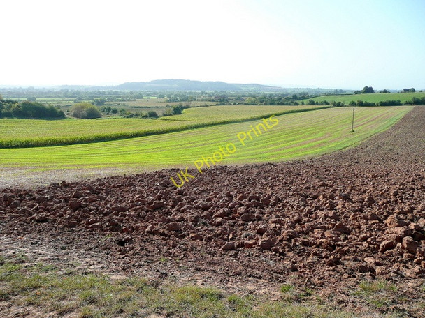 Photo 6"x4" Farmland south of Tirley Hill Tirley c2009