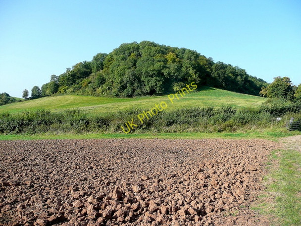 Photo 6"x4" Corse Grove Hasfield c2009